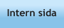 Intern sida